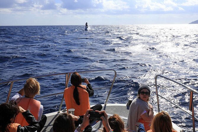 Okinawa Whale Watching From Naha - The 4-hour yacht ride to the Kerama Islands