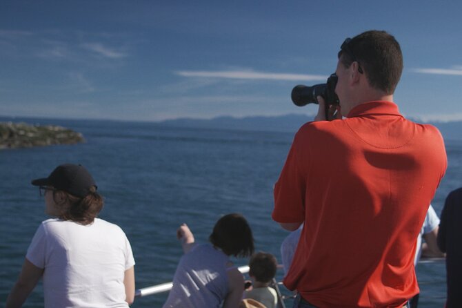 Only Wildlife and Whale Watching Tour Leaving from Seattle - Wildlife odds: how to think about sightings so you don’t feel burned