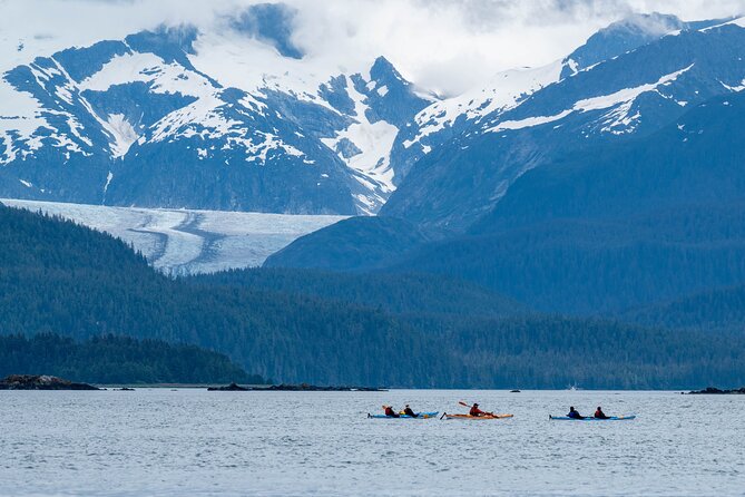 Paddle with Whales Kayak Adventure Juneau - Whales and Kayaks: What This Juneau Day Really Gives You