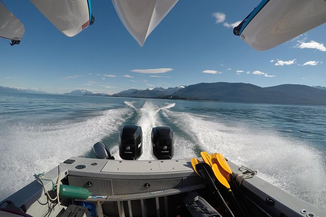 Paddle with Whales Kayak Adventure Juneau - The Beach Stop with Snacks and Tide Pools