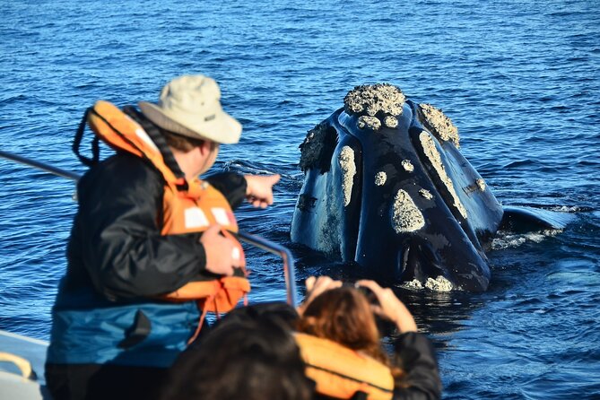 Peninsula Valdes Tour with Optional Whale Watching - The 7:15 am start: long day logistics (and how to prep)
