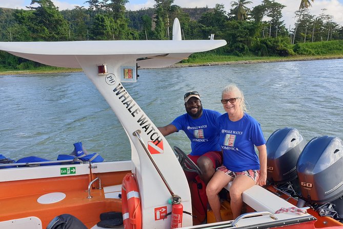 PH Whale Watch & Dolphin Cruise in Dominica - Rum punch on the water (and how they handle comfort)