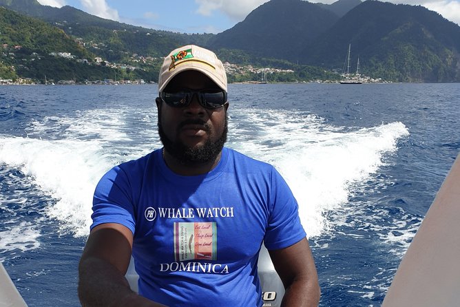 PH Whale Watch & Dolphin Cruise in Dominica - What you can realistically see: sperm whales, melon-head dolphins, and more