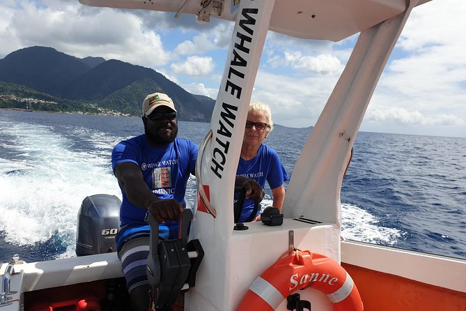 PH Whale Watch & Dolphin Cruise in Dominica - Boat size and closeness: why “small” can be a big advantage