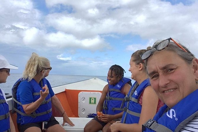 PH Whale Watch & Dolphin Cruise in Dominica - Getting to Roseau: the meeting point and the no-hotel rule