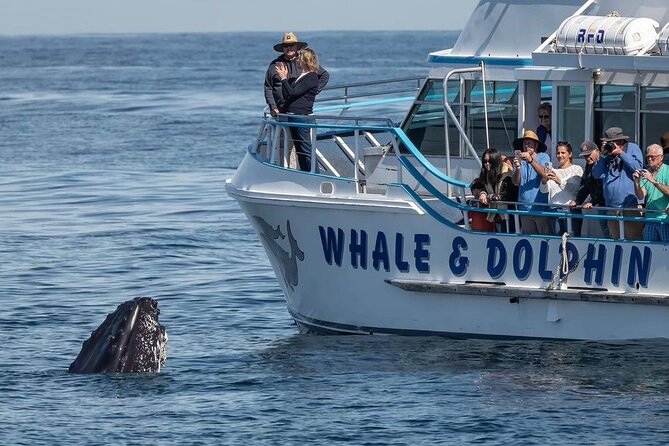 Port Stephens, departing Newcastle - Whales, hike & sand dunes! - Who this tour suits best (and who should choose differently)