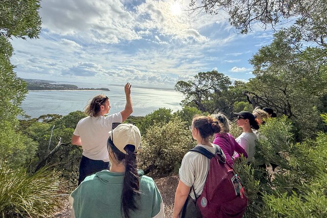 Port Stephens, departing Newcastle - Whales, hike & sand dunes! - Tomaree Mountain hike: short, steep-ish, and worth it