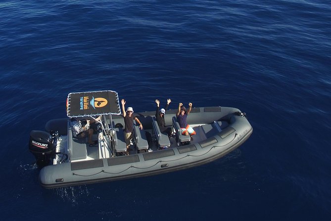 Private 2 hour Whale Watching Tour - Key things I’d plan for on this private whale watch