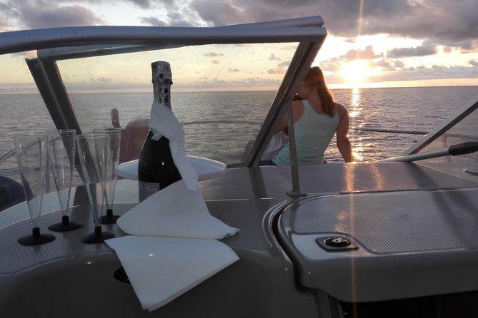 Private Dolphin and Whale Watching Tour in Madeira - Key things to know before you go