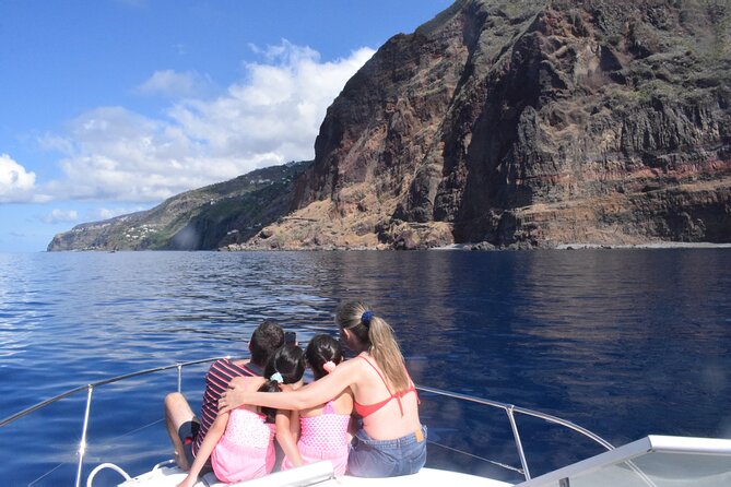 Private Dolphin and Whale Watching Tour in Madeira - Stop 2: Madeira Islands cruising—how the dolphin/whale search really works