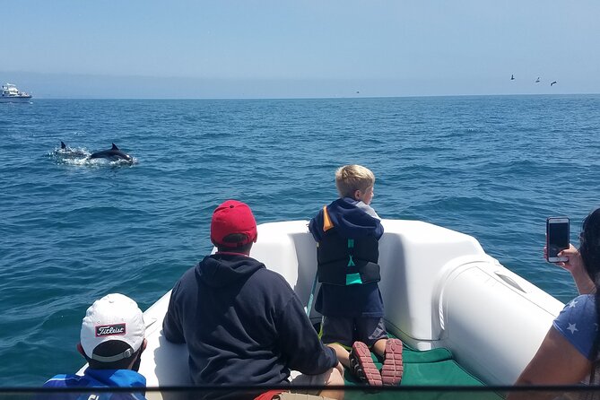 Private Dolphin and Whale Watching Tour in Newport Beach - Key points to know before you go
