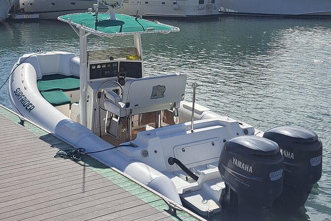 Private Dolphin and Whale Watching Tour in Newport Beach - Timing, duration, and the feel of the day