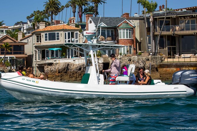 Private Dolphin and Whale Watching Tour in Newport Beach - Your boat ride: fast, small, and purpose-built