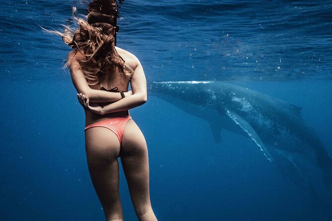 Private Half Day Whale Watching Tour - Why the Private Max of 6 Changes Everything