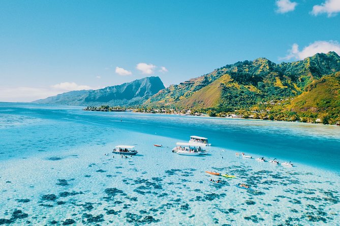 Private Half Day Whale Watching Tour - Should You Book This Moorea Sea Experience Whale Tour?