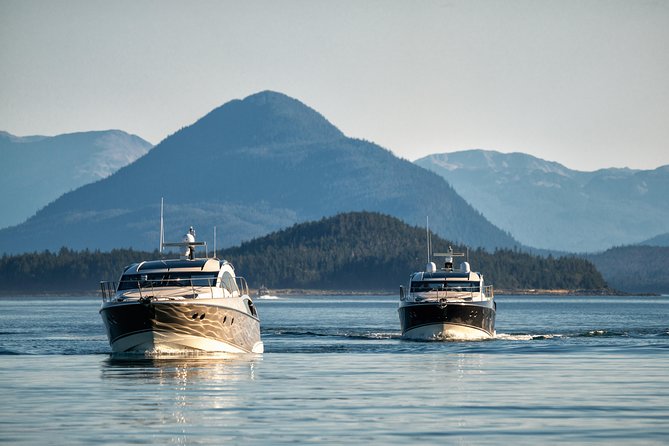 Private Luxury Whale Watch - What you might see: humpbacks, possible orcas, and the Juneau wildlife mix