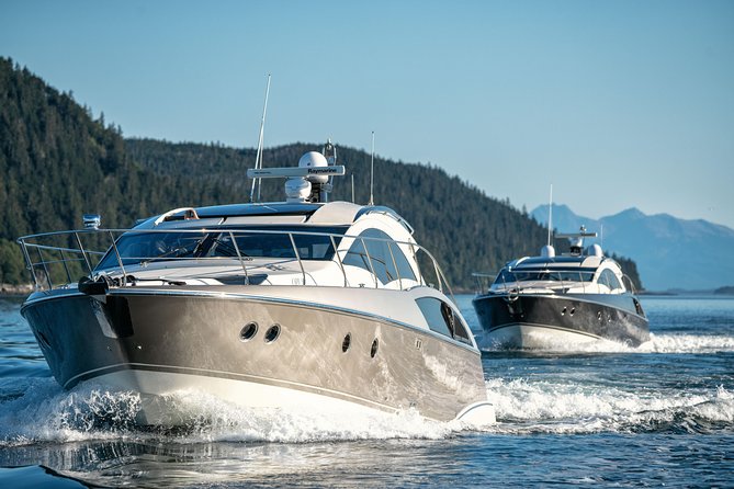 Private Luxury Whale Watch - Captain-led scouting and a naturalist who keeps it real