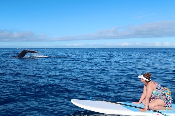 Private Paddleboard (SUP) Whale Watch: All Skill Levels Welcome - What “private pace” really means on the water