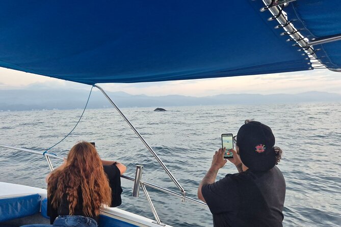 Private Tour 3 Hours of Whale Watching - Private vs. Public: Why Up to 8 People Feels Better