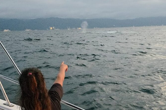 Private Tour 3 Hours of Whale Watching - English Is Offered, but Communication Can Vary