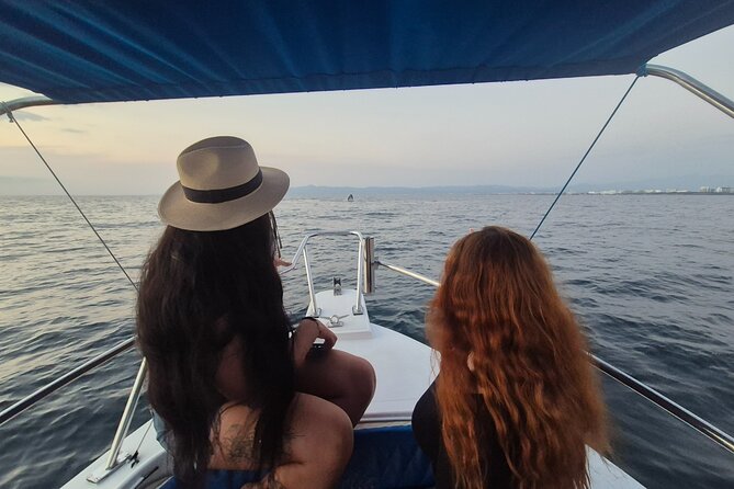 Private Tour 3 Hours of Whale Watching - Boarding at Los Peines Dock: Getting There Without Stress