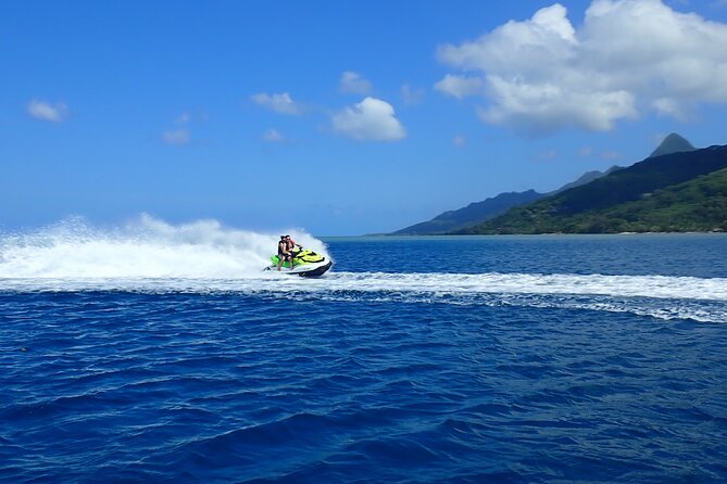 Private tour observing and swimming with humpback whales in Moorea - Weather and Season: The Two Rules That Matter Most