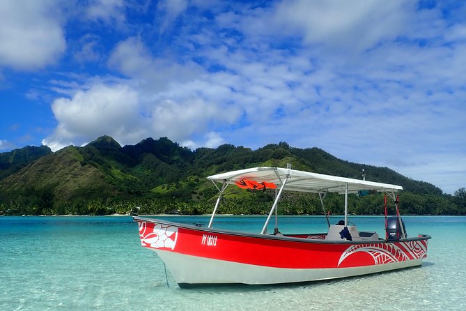 Private tour observing and swimming with humpback whales in Moorea - Should You Book This Private Whale-and-Snorkel Tour in Moorea?