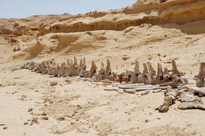 Private Tour to Whales Valley & Wadi El Rayan Waterfalls in El Fayoum from Cairo - Wadi El-Rayan waterfalls: the oasis moment you came for