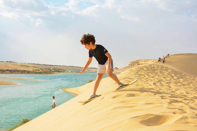 Private Tour to Whales Valley & Wadi El Rayan Waterfalls in El Fayoum from Cairo - Wadi Al-Hitan (Valley of the Whales): fossil country and hands-on desert time