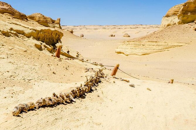 Private Tour to Whales Valley & Wadi El Rayan Waterfalls in El Fayoum from Cairo - Food, entry fees, and the real meaning of the $90 price
