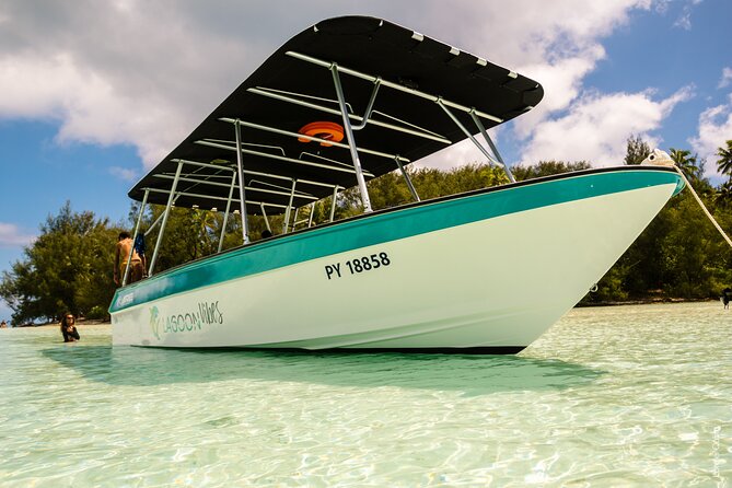 Private tour whale watching and snorkeling in Moorea - Snorkeling in Moorea: what you’ll need and when it’s possible