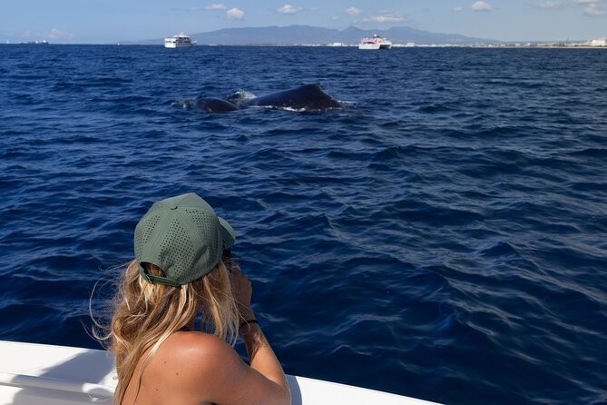 Private Whale Watching Activity: 6 passengers max - Price and Value: $500 Per Group Can Be a Smart Deal