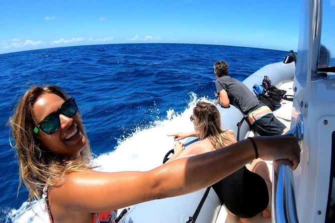 Private Whale Watching Adventure - Key points to know before you go