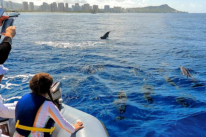 Private Whale Watching Adventure - Comfort reality check: Zodiac-style boats and tube seating