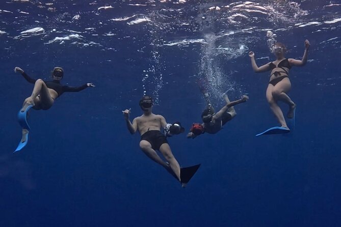 Private Whale Watching Adventure in Mo'orea - A Private Whale Day in Moorea: How the 8:00 Start Works