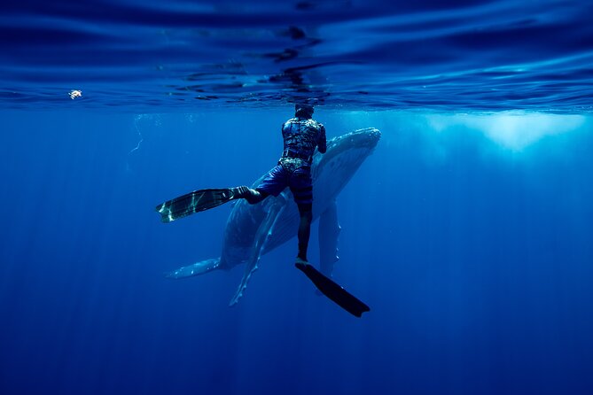Private Whale Watching Adventure in Mo'orea - Snorkeling With Teoni and Captain Julien