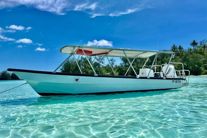 Private Whale Watching Adventure in Mo'orea - Swim or Stay on the Boat: Fitness and Comfort Tips