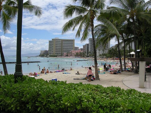 Private Whale Watching and Coastal Swimming Tour Honolulu - Key Points to Know Before You Go