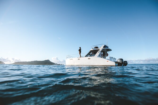 Private Whale Watching and Coastal Swimming Tour Honolulu - Sailing Past Waikiki and Diamond Head for Humpback Encounters
