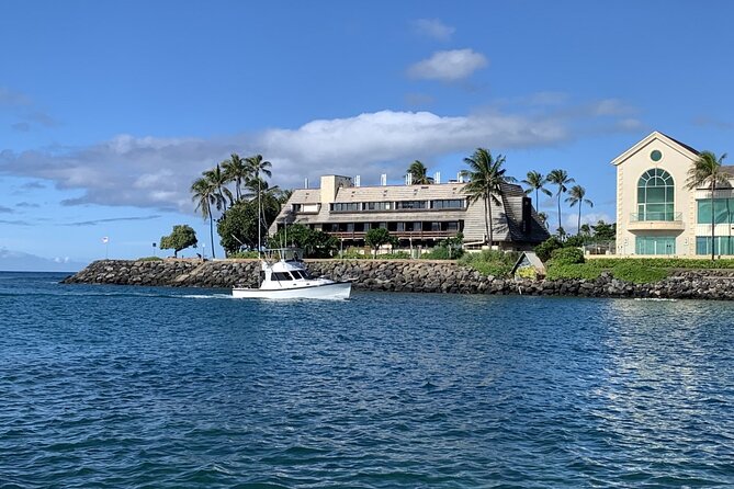 Private Whale Watching and Dolphin Excursion - Quick expectations: how your 2 hours likely play out
