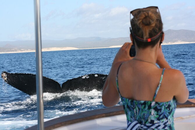 Private Whale Watching in San José del Cabo - Key things that make this trip worth your time