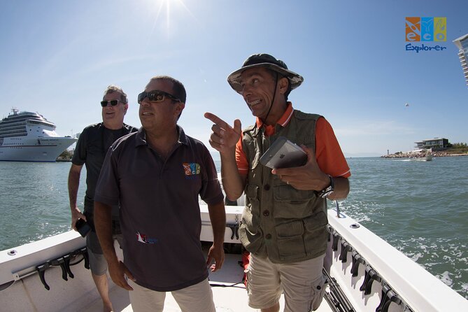 Private Whale watching Puerto Vallarta - A private 3-hour whale-watch that feels like teamwork