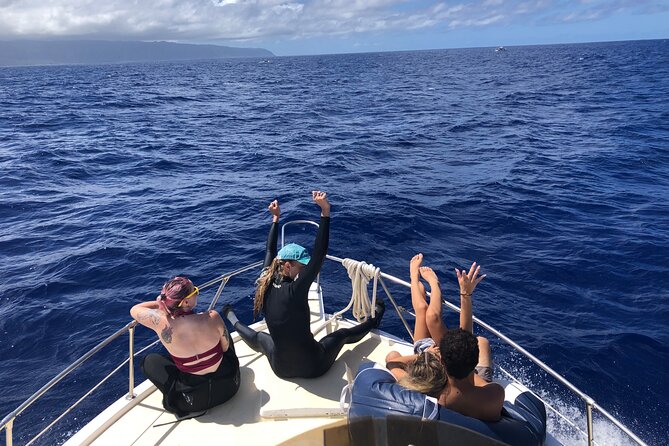 Private Whale Watching Safari from North Shore Oahu - If you book for sunset, it changes the feel