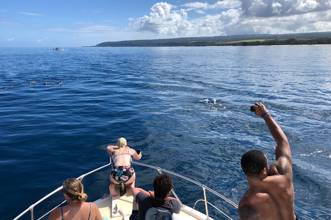 Private Whale Watching Safari from North Shore Oahu - Meeting in Haleiwa: Go Fishing Hawaii as your starting point