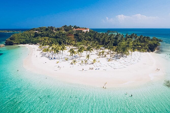 Punta Cana Whale Watching and Bacardi Island Day Trip - Who this Punta Cana whale and Bacardí Island day trip fits best
