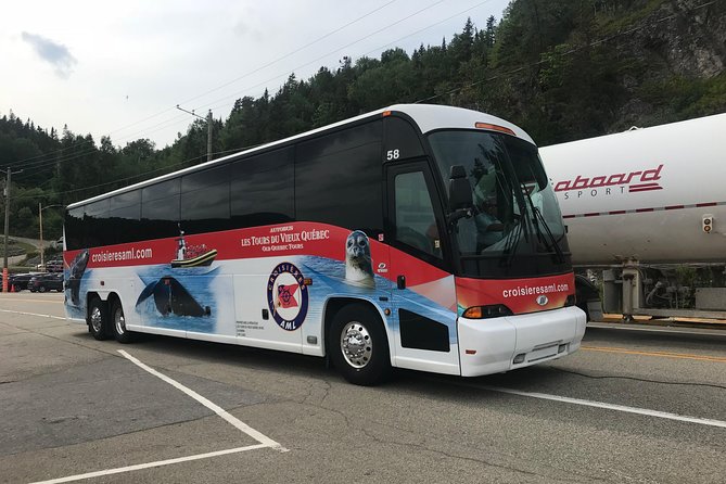 Québec City: Whale Watching Tour with Bus Transportation - How the day usually feels once you reach the marine park