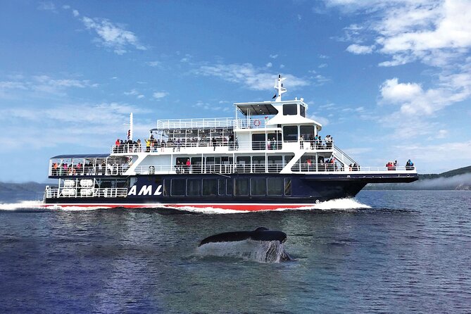 Québec City: Whale Watching Tour with Bus Transportation - Things that can go slightly sideways (and how to protect yourself)