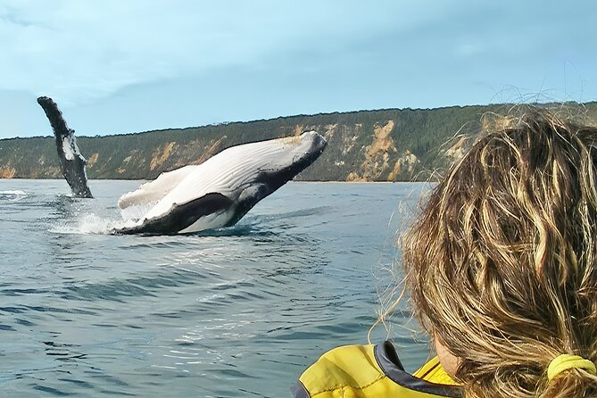 Rainbow Beach: Whale Watching Ocean Kayak Tour & Beach 4X4 - Key highlights you should know before you go