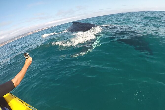 Rainbow Beach: Whale Watching Ocean Kayak Tour & Beach 4X4 - Swim and relax time: a realistic break from the paddling