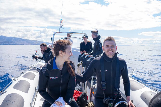 Responsible Whales and/or Dolphins Watching Tour - Wildlife odds and what you might actually see